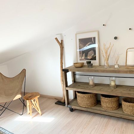 La Pau Apartaments 莫列鲁萨 外观 照片