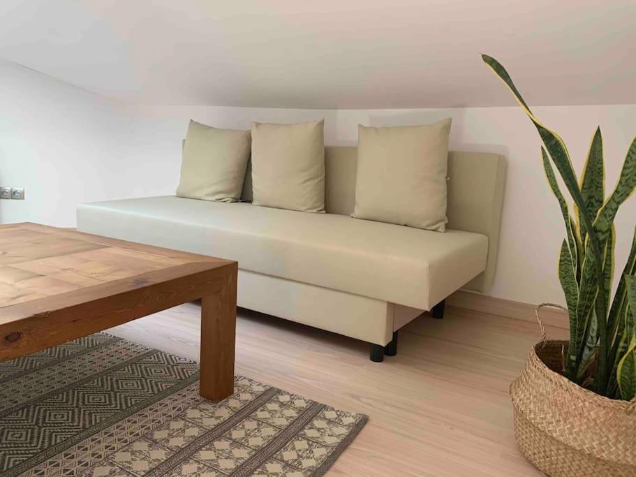 La Pau Apartaments 莫列鲁萨 外观 照片